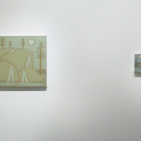 John Dilg. Natural Memory, Exhibition view. Courtesy of Taymour Grahne Gallery