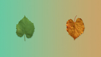 With the passage of time, seasons change, transforming the world with their ever-shifting beauty