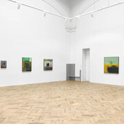 Aubrey Levinthal, Mirror matter, exhibition view. Courtesy of Ingleby Gallery