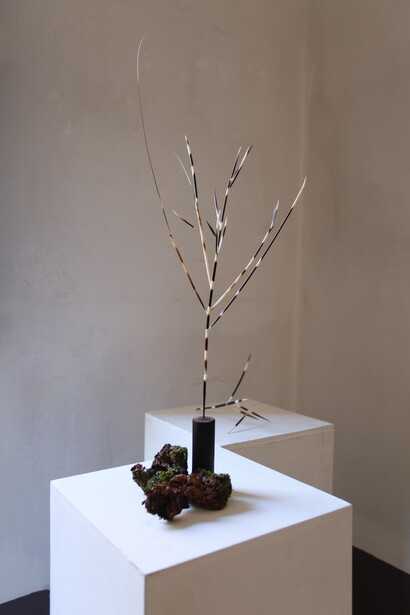 Sara Berola, Spinoza. Per gentile concessione di Die Mauer arte contemporanea