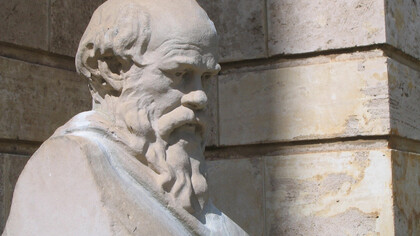 Bigodes de se respeitar