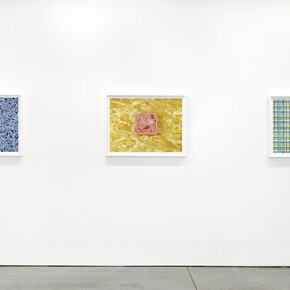 Sandy Skoglund. Food Still Lifes, Exhibition view. Courtesy of Ryan Lee