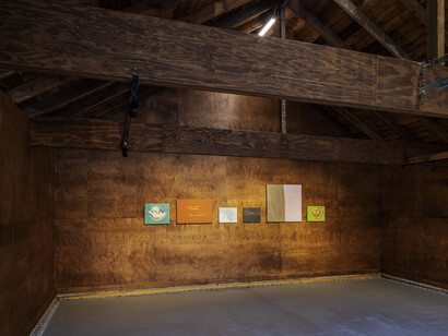 Peter Shear, A point between the eyes, exhibition view. Courtesy of Mendes Wood DM