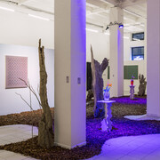 Tomáš Žemla and František Jungvirt, Off the beaten track, exhibition view. Courtesy of the Chemistry Gallery. Photo by Petr Kopal