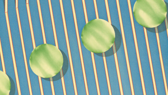 Degrees of Abstraction. Courtesy of Crown Point Press