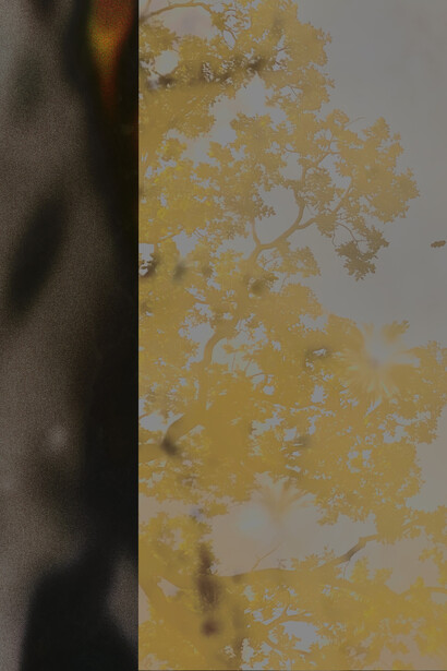 Artur Strekalov, Untitled (detail). Courtesy of Jealous