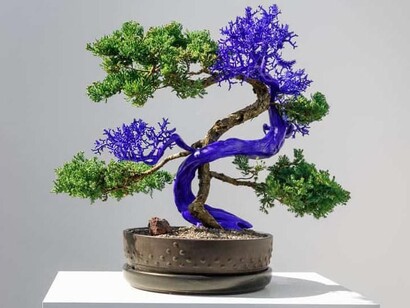 Agnieszka Kurant, Variantology, exhibition view. Courtesy of Lia Rumma Gallery