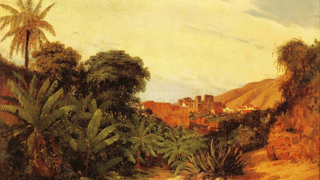 Convento de la Merced, Caracas. Óleo de Jean-Baptiste Louis Gros (1793-1870), el Barón Gros (Galería de Arte de Caracas, Venezuela). Los frailes franciscanos capuchinos de este convento acogieron a Téophile Raymond y lo apoyaron en sus estudios de ciencias naturales