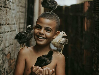 Menino brinca com patinhos. Neste exato momento em que escrevo este texto, estou de férias, sentado numa churrasqueira, em uma casa simples no interior do Rio de Janeiro, onde mora minha irmã