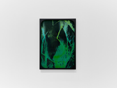 Sherin Guirguis, Into the lake of fire  // ⲉ̀ϧⲟⲩⲛ ⲉ̀ϯⲗⲩⲙⲛⲏ ⲛ̀ⲭ̀ⲣⲱⲙ, exhibition view. Courtesy of Luis De Jesus Los Angeles 