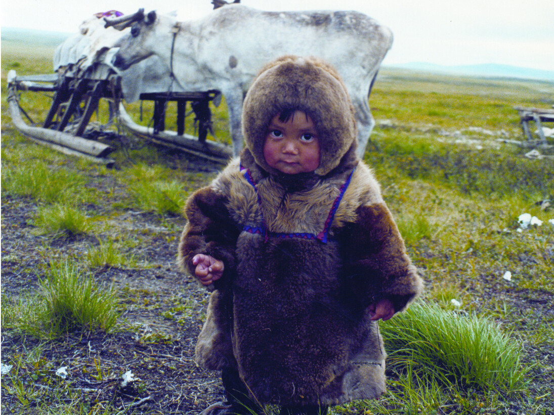 A future owner of the tundra (Nenets) © Lyudmila Lipatova (Salerkhard, Russia)
