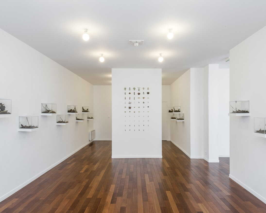 Coquelicots, Exhibition view. Courtesy of MFC - Michèle Didier