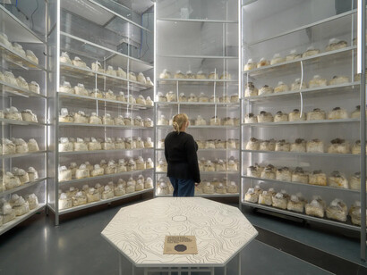 Age of nature, exhibition view. Courtesy of Danish Architecture Center