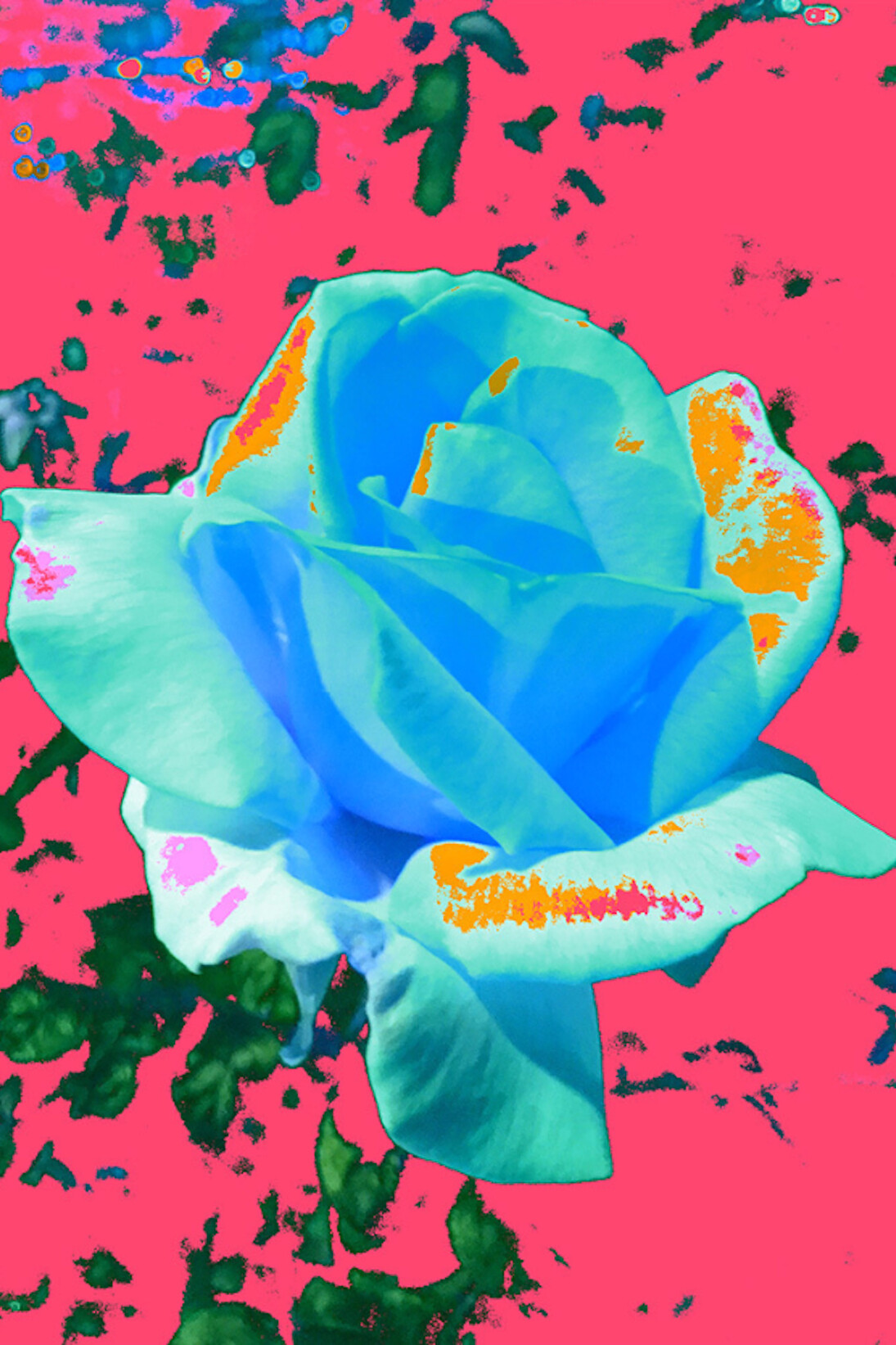 Masood Kamandy, Night Flower (Pink), 2017. Courtesy of Luis De Jesus Los Angeles