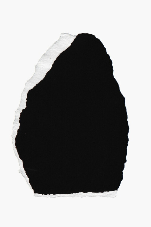 Bettina von Zwehl. Courtesy of Purdy Hicks Gallery