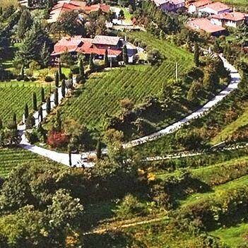 Ogni dettaglio grafico è stato studiato per raccontare una visione che unisce la tradizione vitivinicola della Franciacorta con riferimenti alla spiritualità, alla natura e all'universo