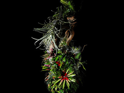 Azuma Makoto. Botanical Ashtrays