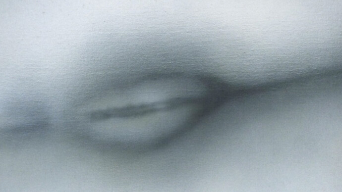 Betty Tompkins, Pussy Painting #15, 2012, Acrylic on Canvas, 40,6 x 40,6 cm, copyright Betty Tompkins, courtesy the artist and Rodolphe Janssen, Brussels, private collection.