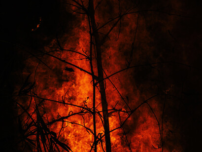 Burning Amazon rainforest
