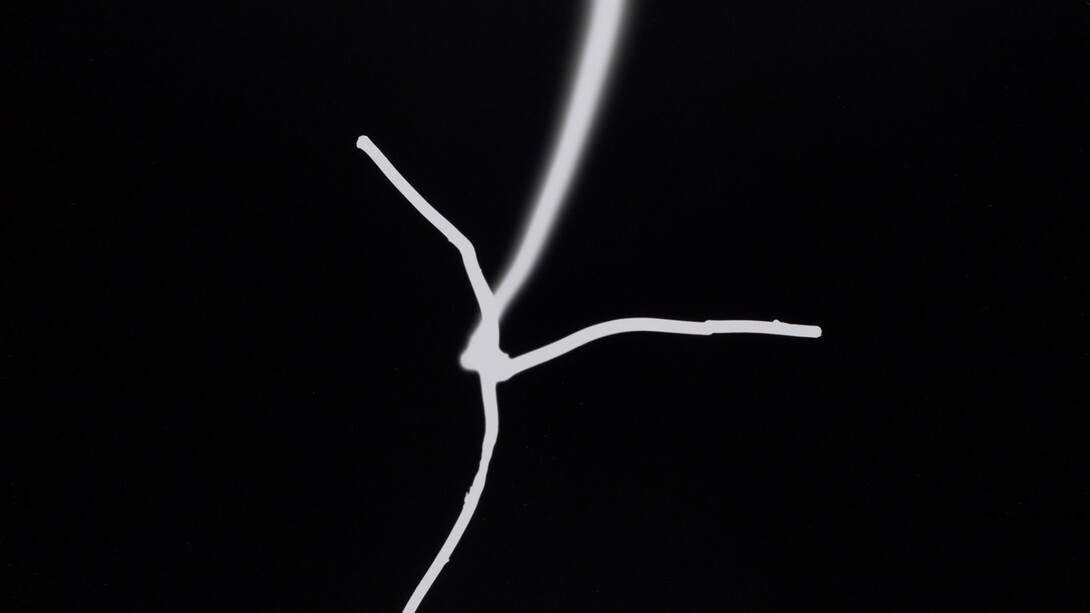 Judith Goddard, Bronze Photogram 3, 2014, Unique analogue photograph on paper, 51 x 41 cm