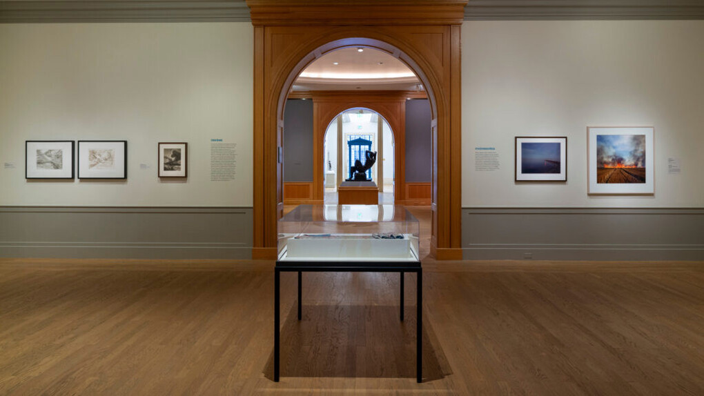 Engaging the elements: poetry in nature, exhibition view. Courtesy of the Baltimore Museum of Art