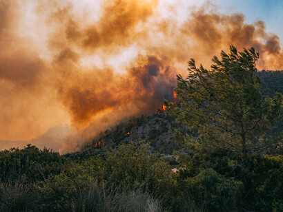 Wildfires fueled by the effects of climate change