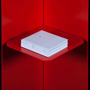 Gallery Elena Shchukina