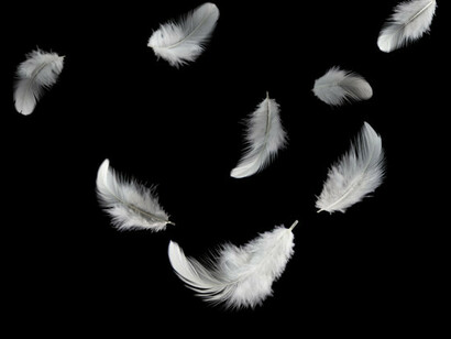 L’amore è il “sentire” l’altro come ciò che arricchisce qualsiasi momento della tua vita