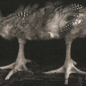 Michiko Kon. Courtesy of Robert Mann Gallery