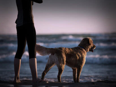 Microcuento 'Estirado'. Una mujer y su perro contemplan las olas del mar