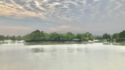 Le fleuve Gange, en Inde, tissé de racines et de légendes, mène les eaux douces vers l’étreinte du golfe