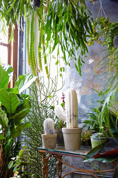 The Cactus House. Courtesy of Hignell Gallery