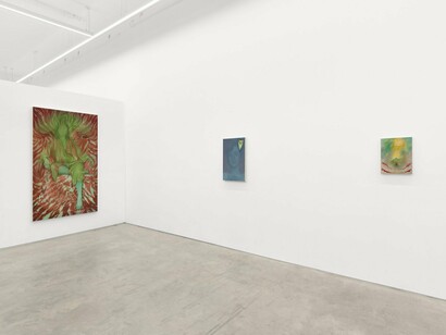 Jenny Morgan, No endings for the wild, exhibition view. Courtesy of Anat Ebgi