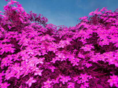 Sari Soininen, Dimension 28, from the series Transcendent country of the mind, 2020. Courtesy of Aboa Vetus and Ars Nova