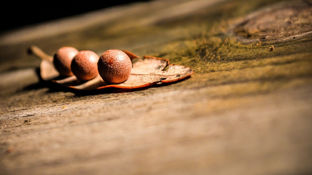 Eating fruits, vegetables and whole grains are important for good health 