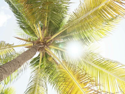 Sunshine and palm trees of Florida, but is having a serious housing shortage