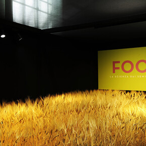 Food. Science from seeds to supper, Museo Civico di Storia Naturale, Milano. Ph: Fabrizio Stipari/24Ore Cultura