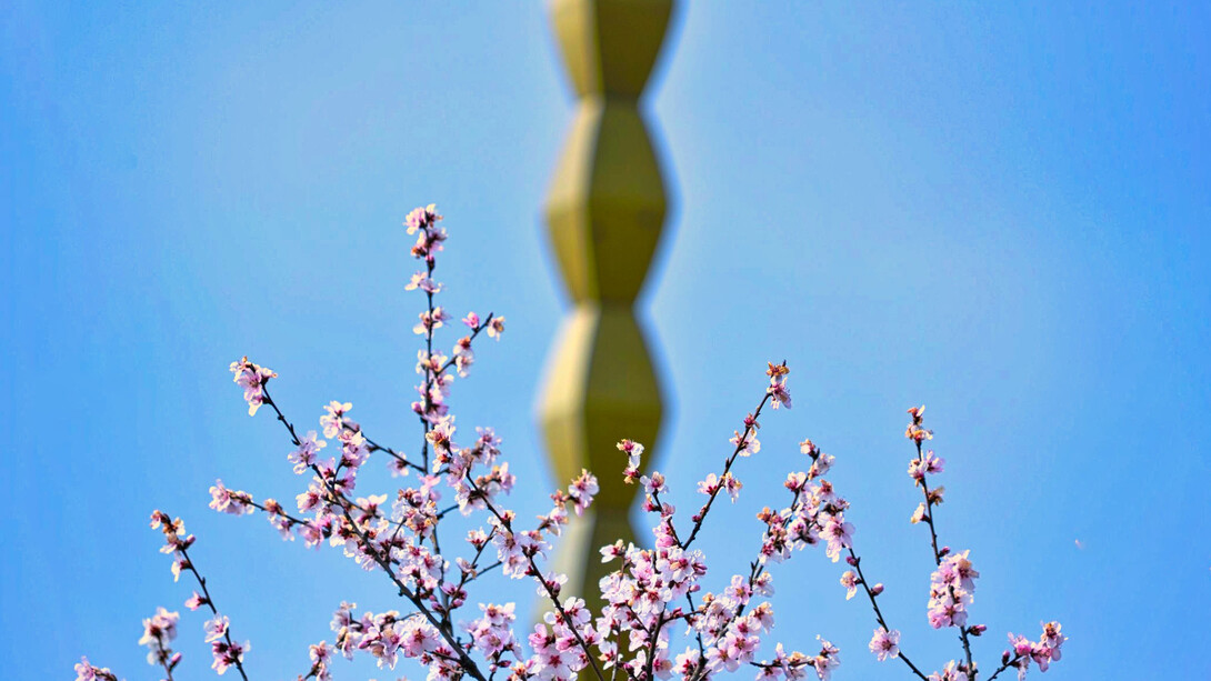 Constantin Brancusi, Colonna infinita, foto Ionel Scaunasu
