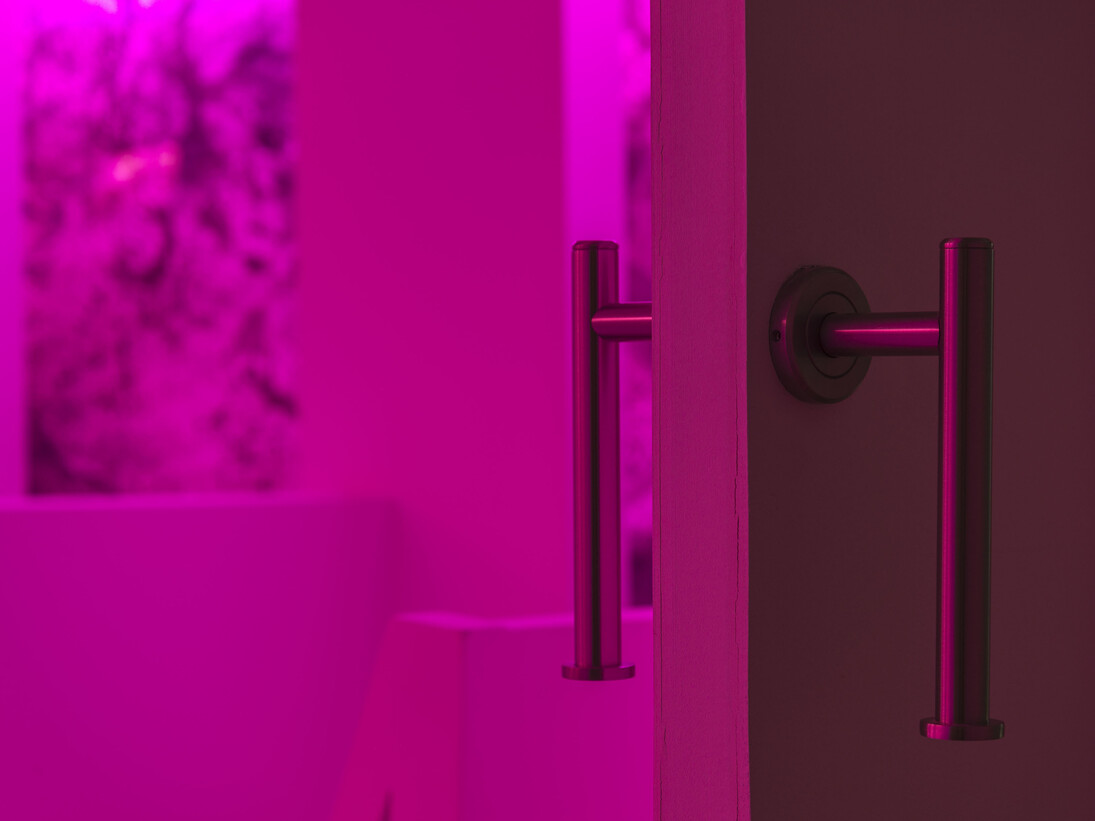 Brett Williams, Untitled (14), 12x8x8 (installation detail)