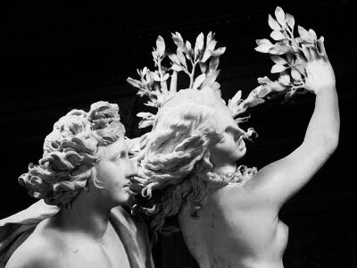 Gian Lorenzo Bernini, Apollo e Dafne, particolare