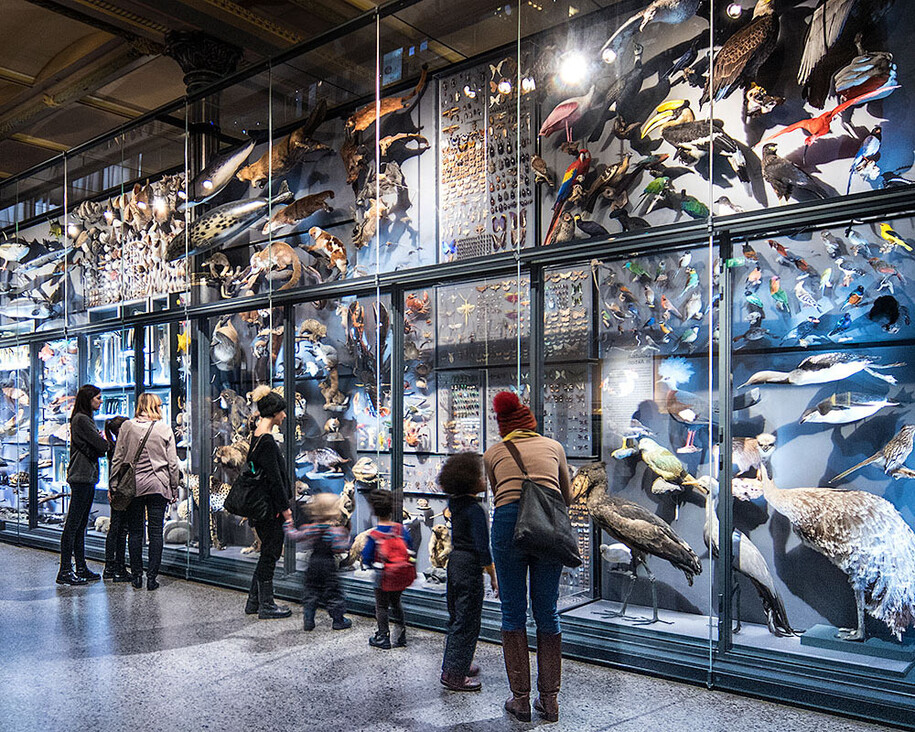 Evolution in Action. Courtesy of Museum für Naturkunde