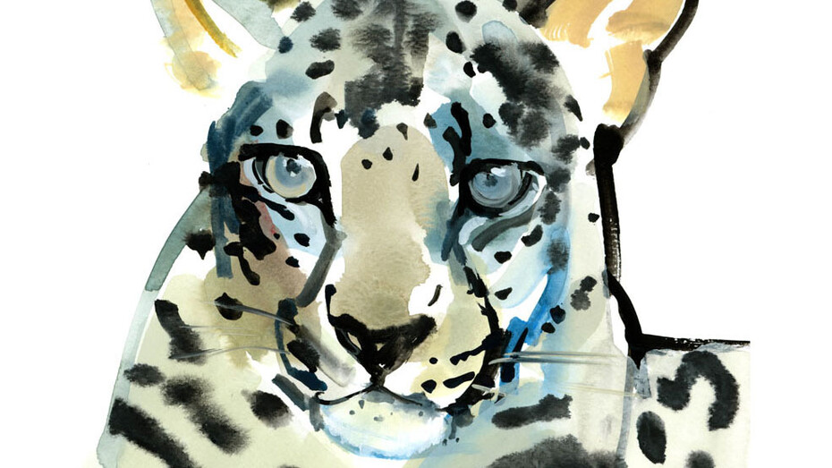 Mark Adlington, Arabian Leopard: Ochre, Watercolour, 10 x 10 ins, Unframed
