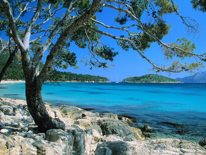Mallorca. Un paraiso junto al mar