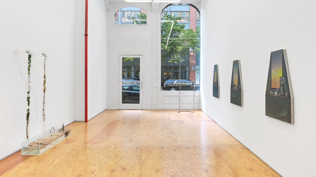 Carolina Fusilier, Imago, exhibition view. Courtesy of Margot Samel Gallery