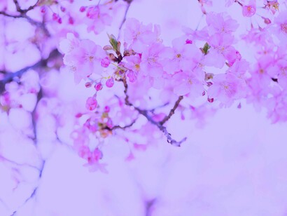 Hola, primavera
