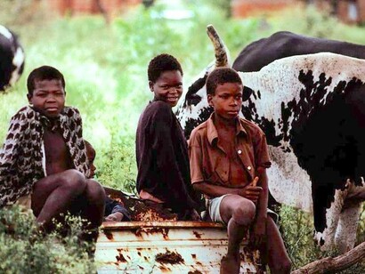 "Grito da Criança" confronta a crueldade do abandono.