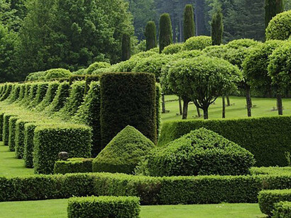 La potatura è una pratica antichissima