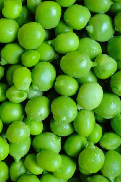 Guisantes