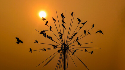 Tengo la teoría de que uno percibe sólo aquello para lo que está preparado, como los fantasmas