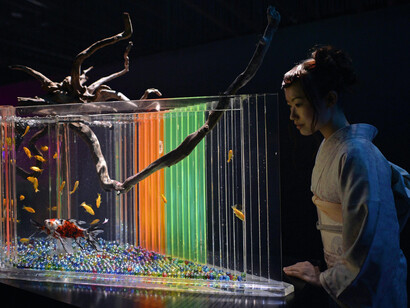 Acquario di Hidetomo Kimura
